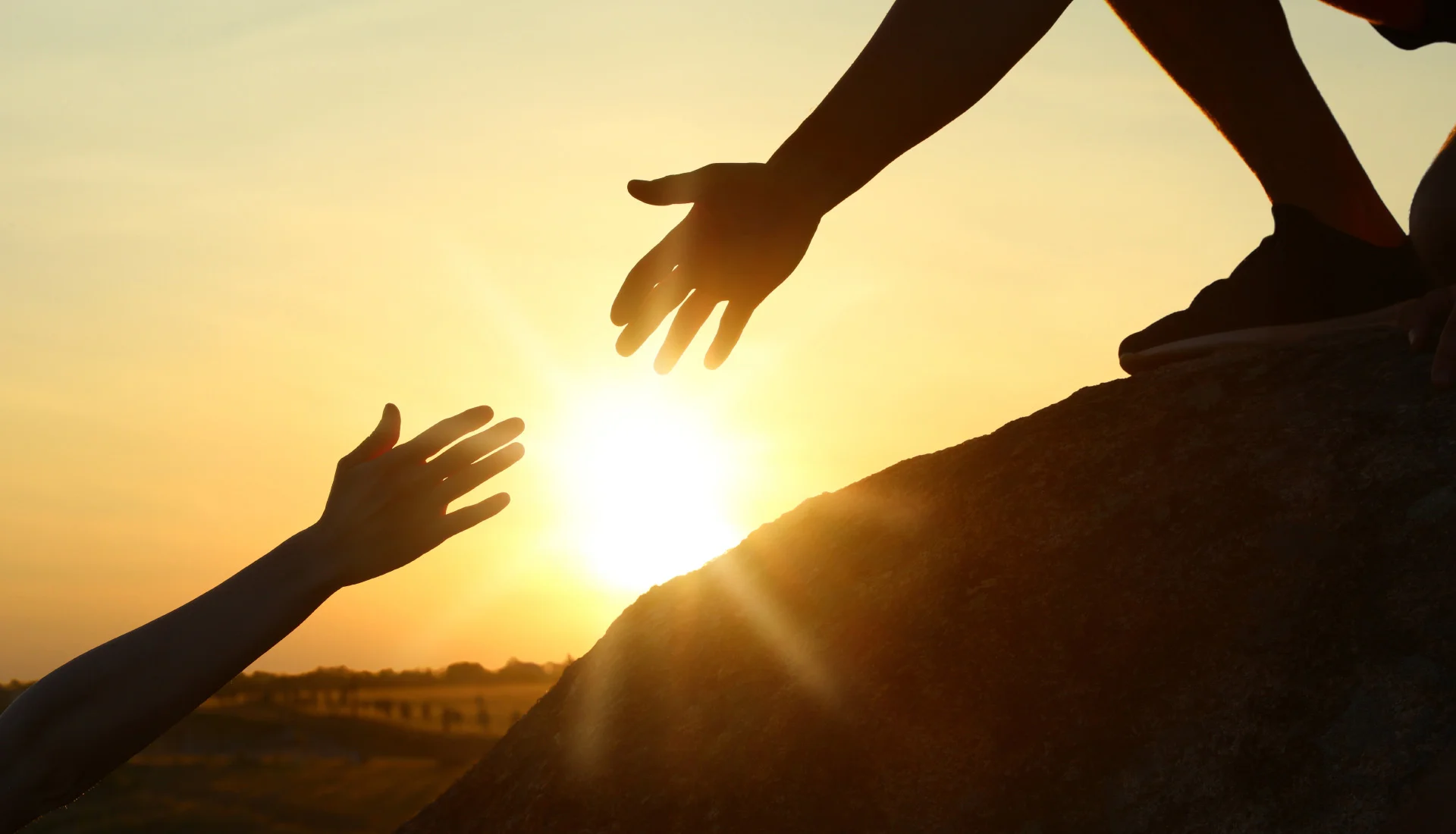 Success stories and client transformations